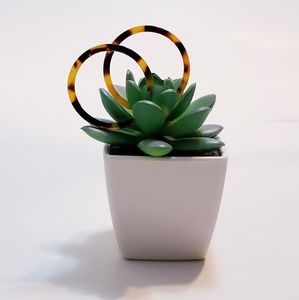 Small Acrylic tortoise shell hoops